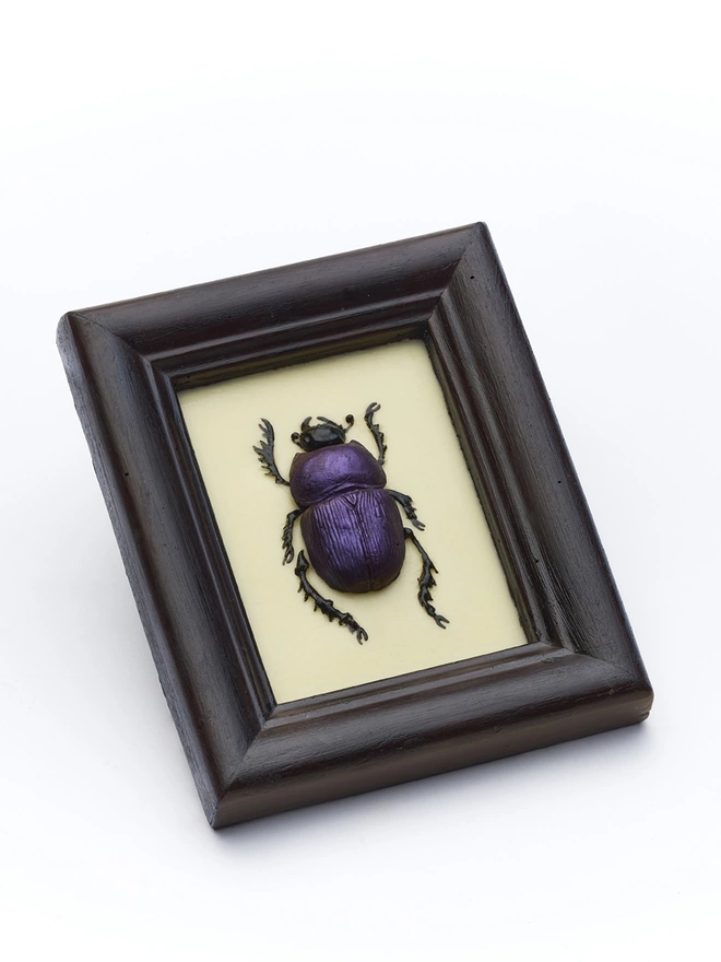 Realistic edible chocolate dung beetle in chocolate frame