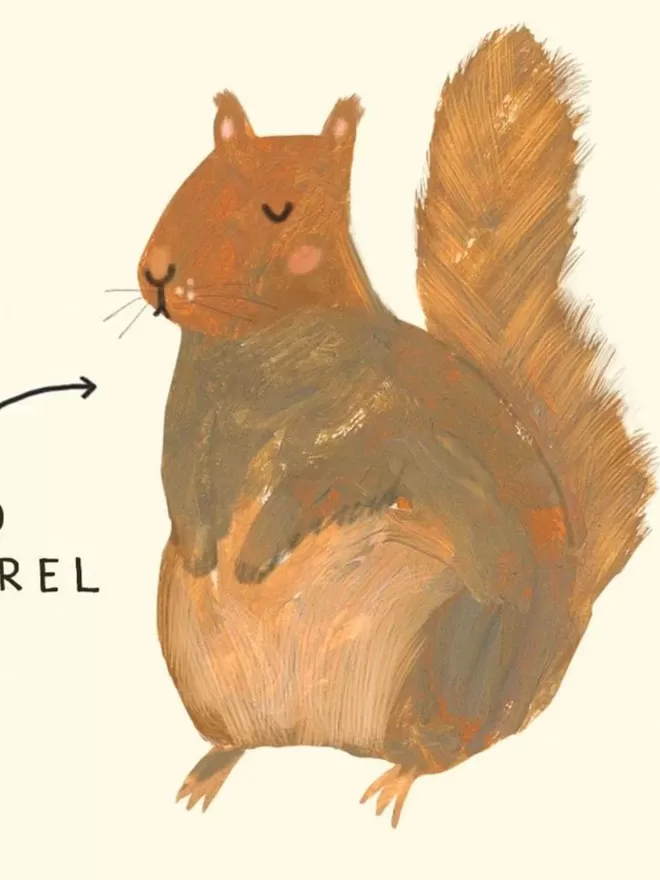 Sad Squirrel Card