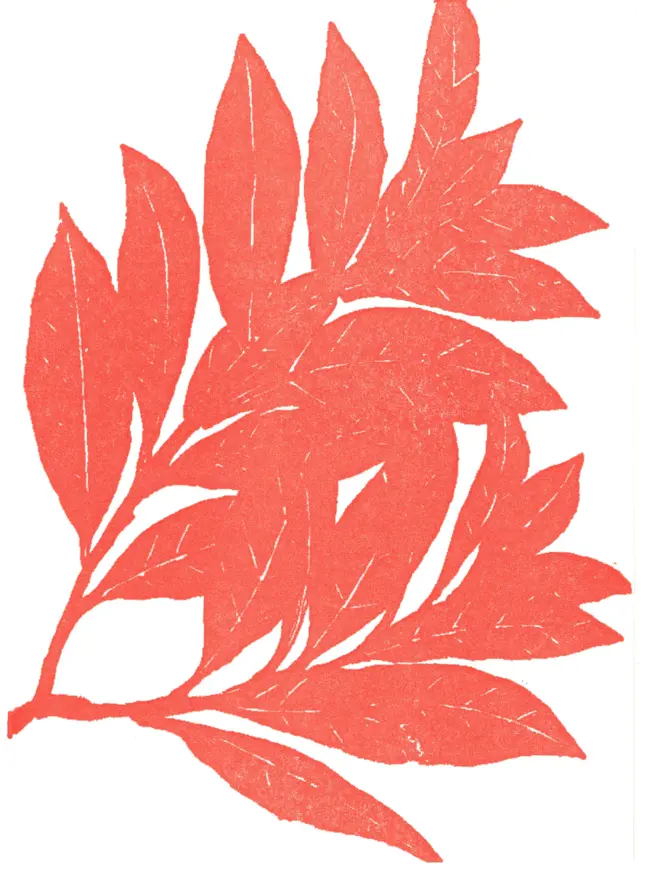 Close up of design on front of card, flat shaded monochrome orange bay leaf cutting. 