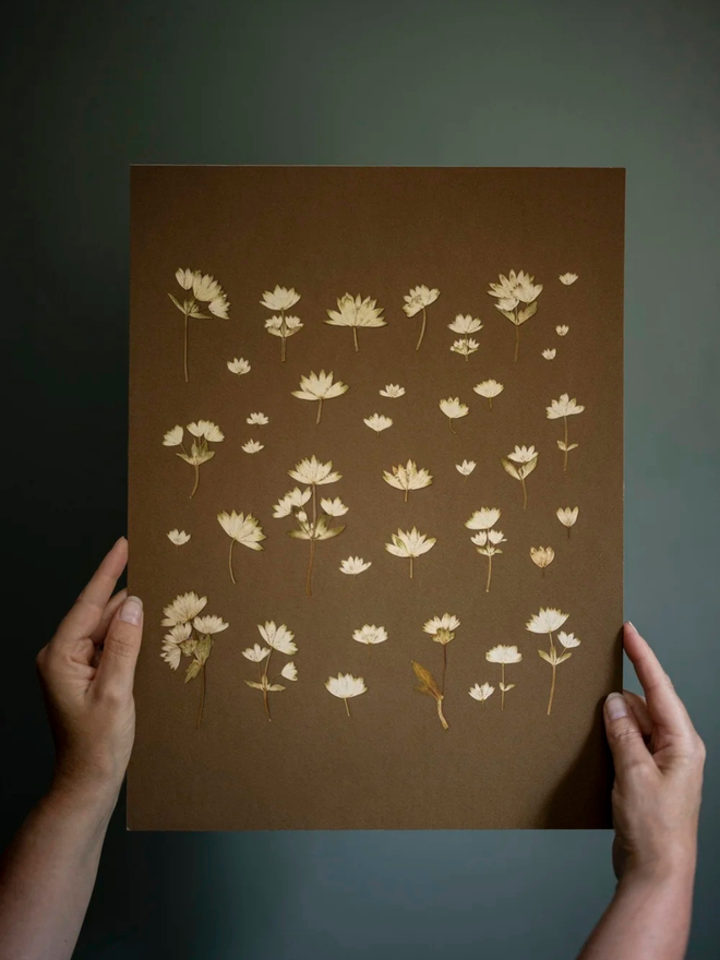 pressed wildflower print