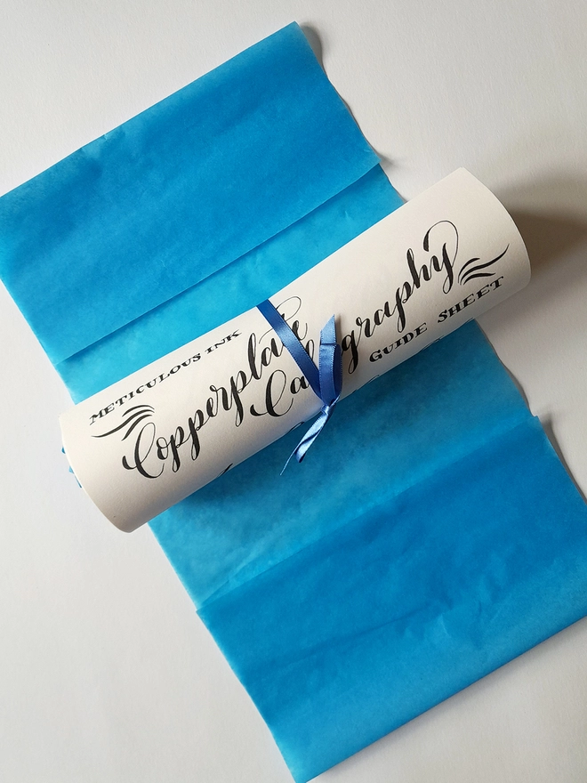 Meticulous Ink Copperplate Calligraphy Kit - Top view of scroll with ribbon on tissue