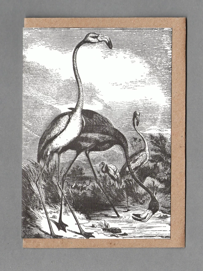 A group of black and white flamingos card with a brown envelope behind on a grey background