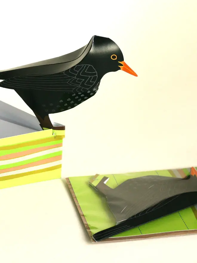 3d blackbird pop out card