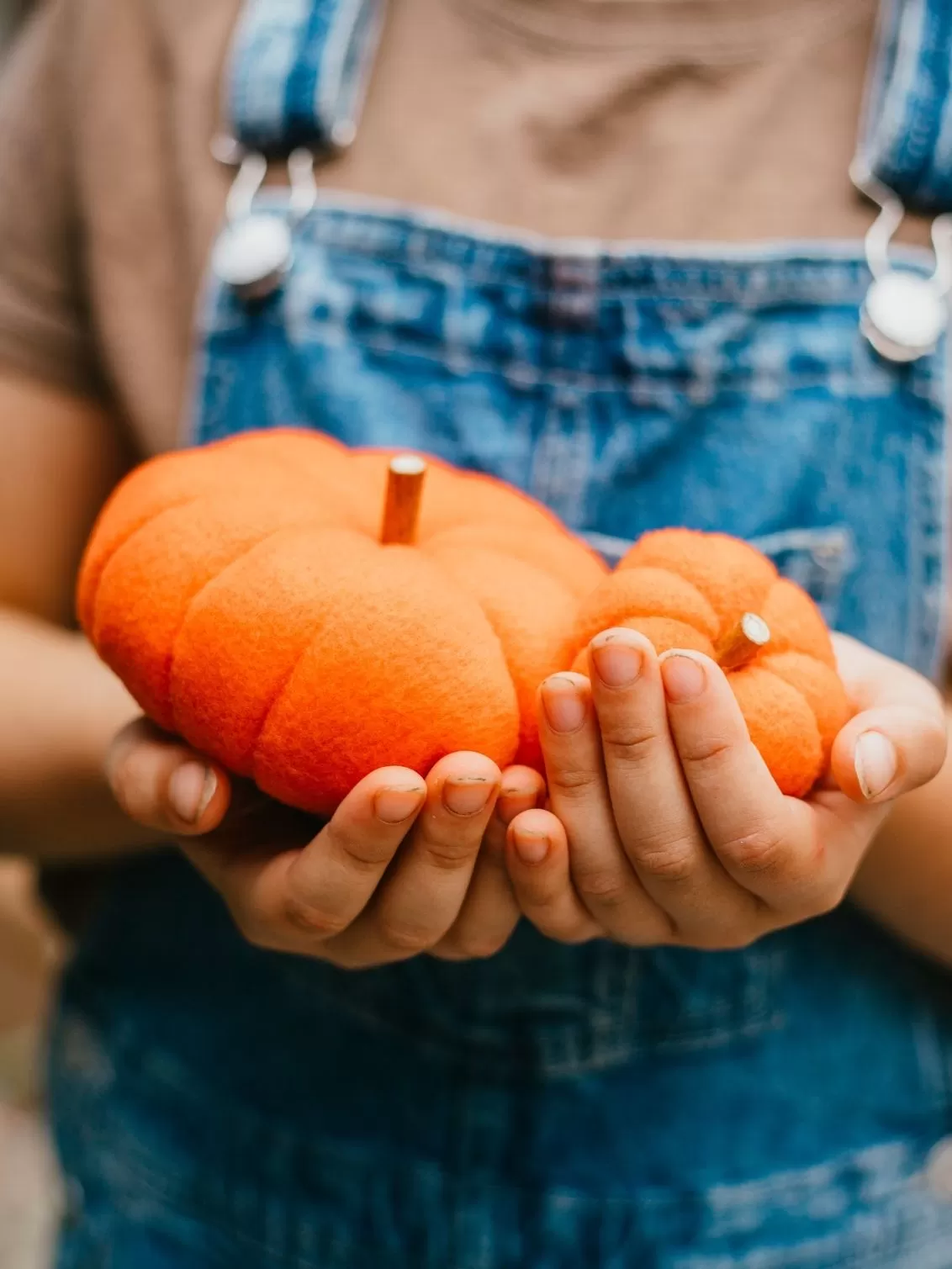 Two orange pumpkins seen held by a small girl.