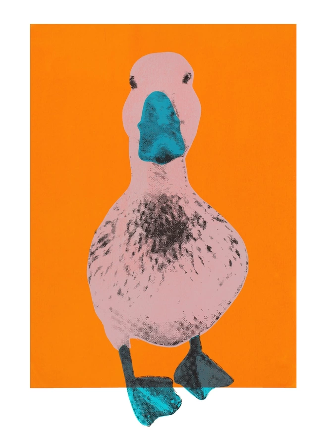Duck a l'orange 