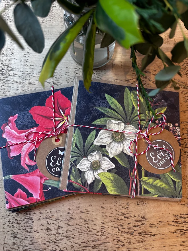 A set of Botanical Christmas cards showing the packaging and presentation of the pack using rope cord. The set of 8 cards includes 2 of each design, including the amaryllis, Christmas rose, mistletoe and poinsettia florals.