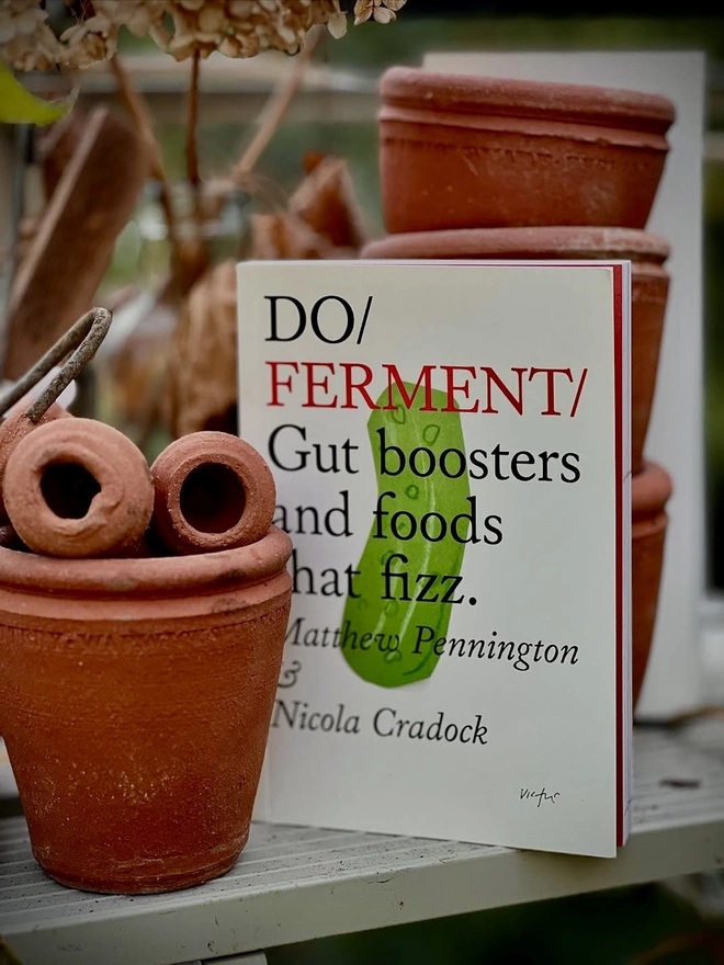 Book standing up among terracotta pots
