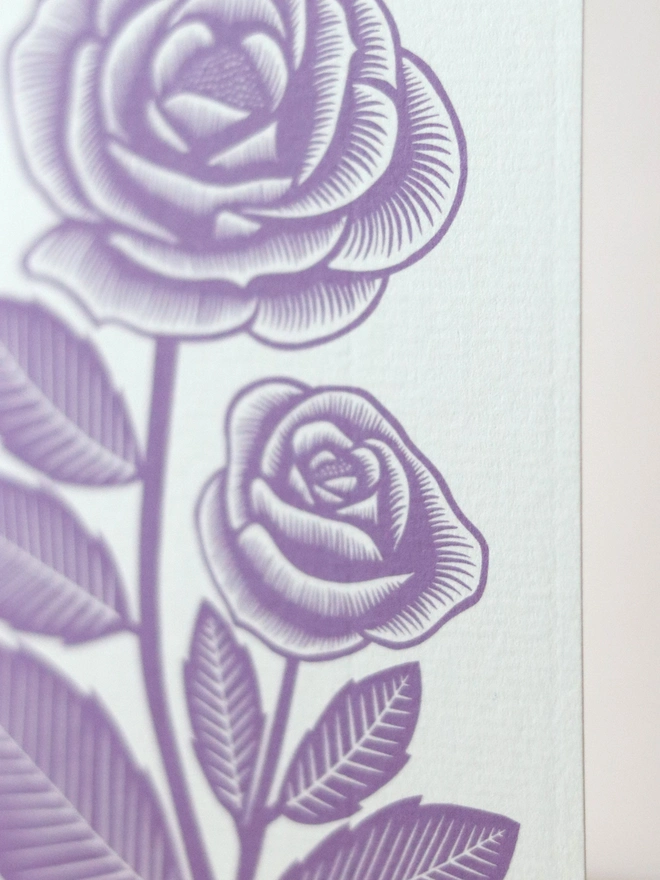 A greetings card featuring a purple rose flower based on an original linocut print