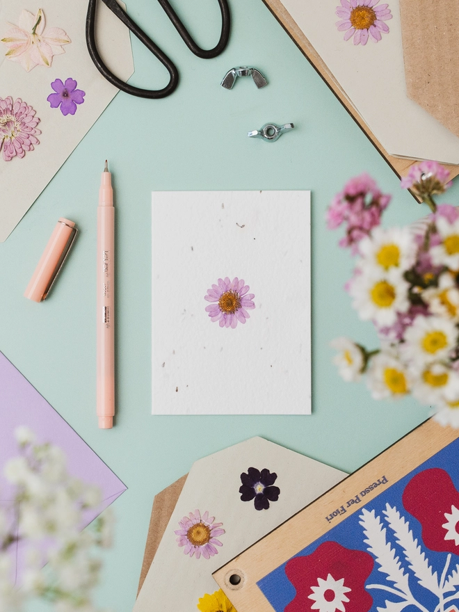 Real Pressed Flower Notecard, Purple Daisy