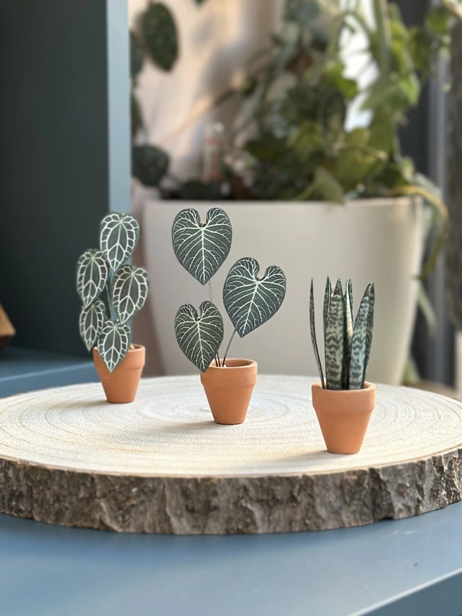 A miniature replica Sanseveria Snake Plant paper plant ornament in a terracotta pot sat on a wooden log slice with two other paper plants to the left of it (an Anthurium Regale and an Anthurium Clarinervium)