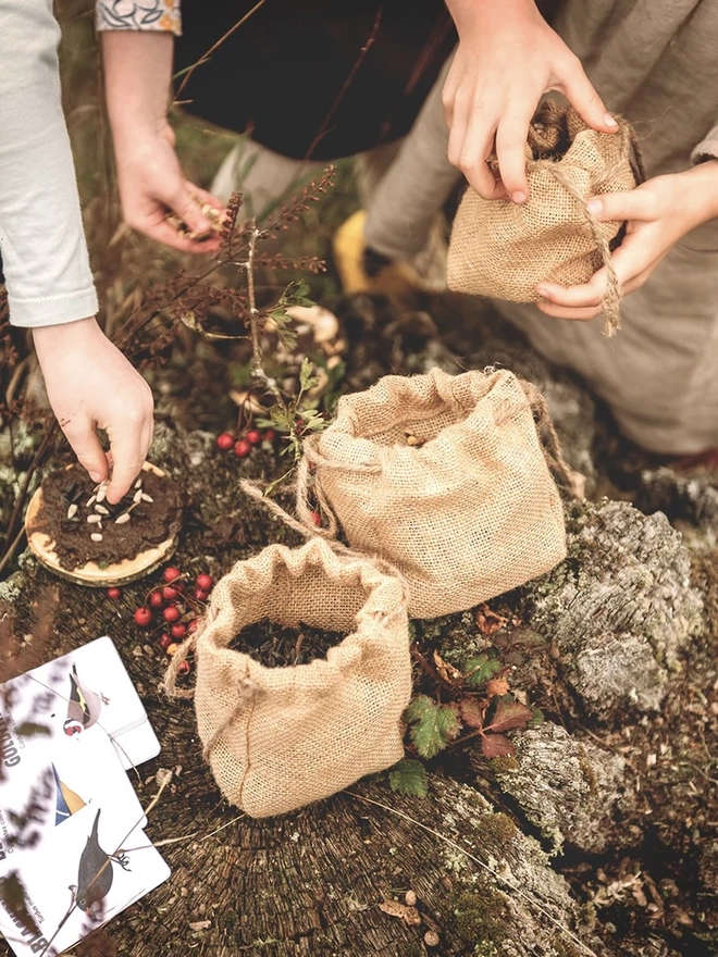 The Make a Pizza for the Birds Kit (Standard) 