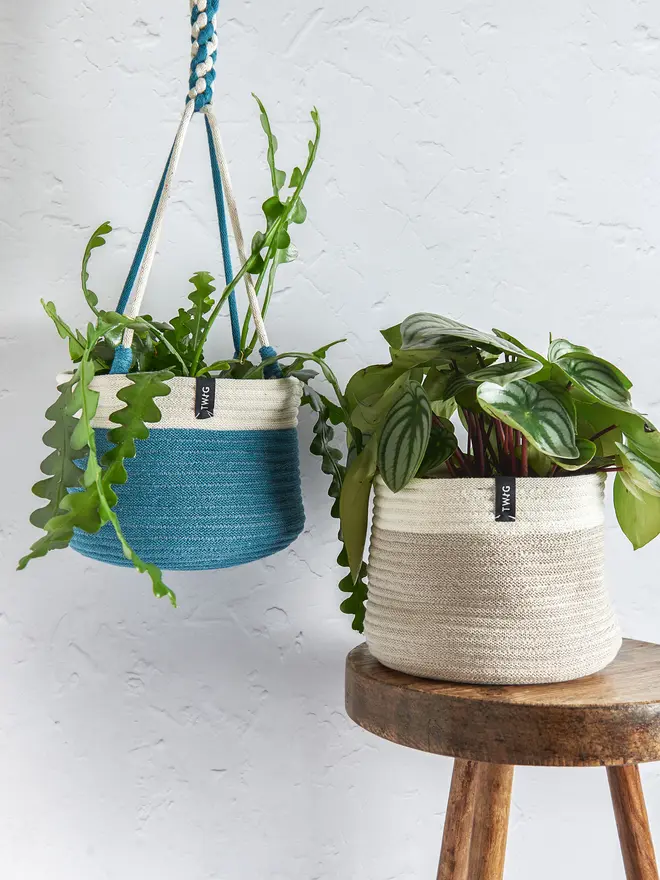 Hanging Cotton Plant Pot