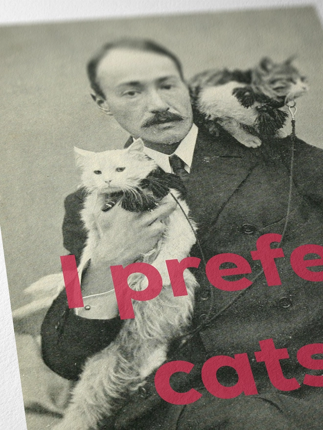 I Prefer Cats Print