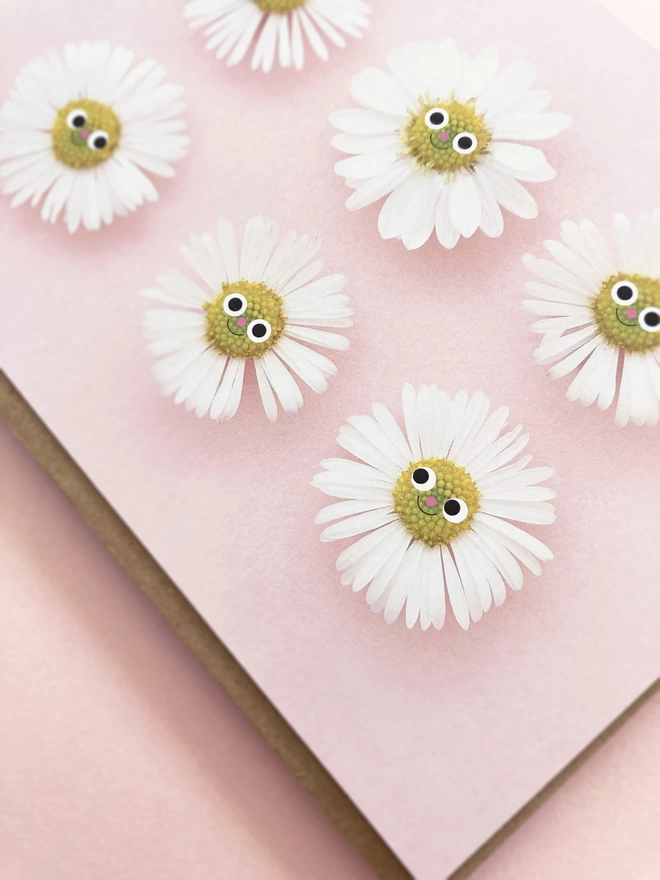 Smiling daisy's card on a pink background 