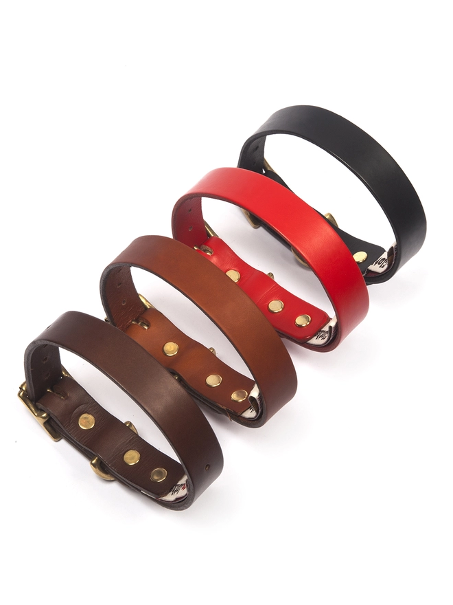 Plain Classic Leather Dog Collars With Brass Buckles
