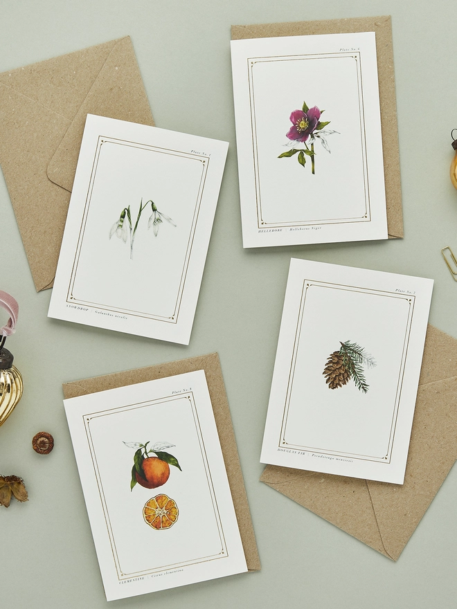 Botanical elements on a greeting card with gold details