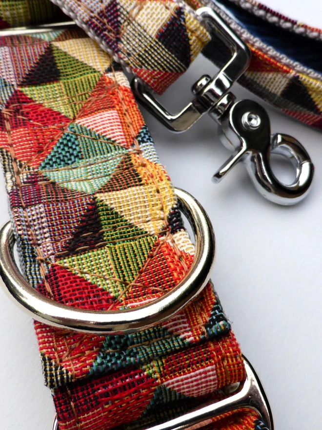 Harlequin Martingale Dog Collar and Lead