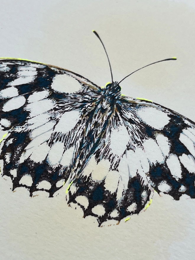 Marbled White Butterfly Screenprint
