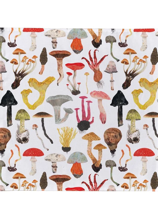 Mushrooms Handkerchief Pocket Square 