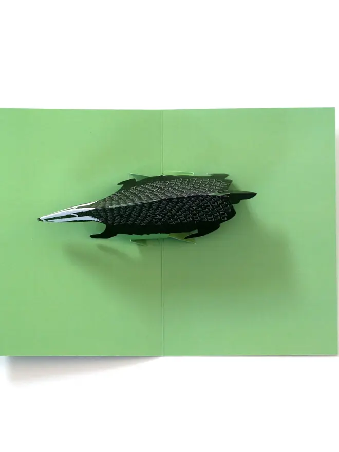 3d badger pop out card