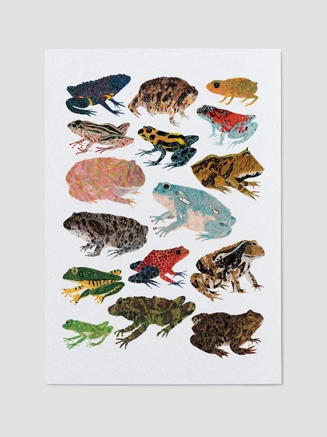 Frogs and Toads Print