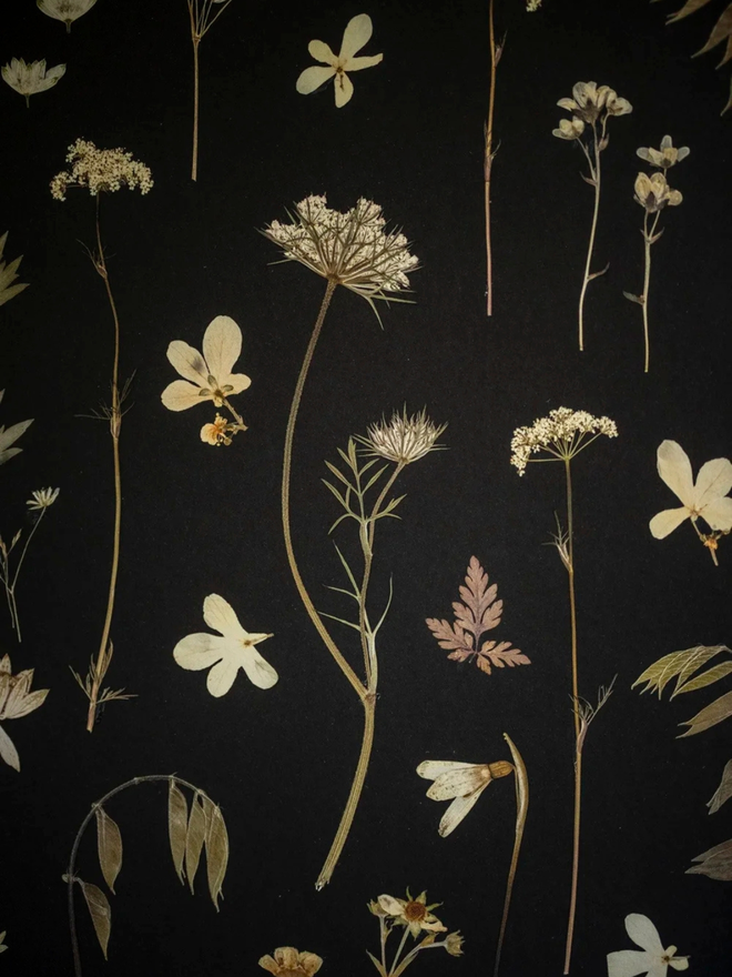 pressed wildflower artwork