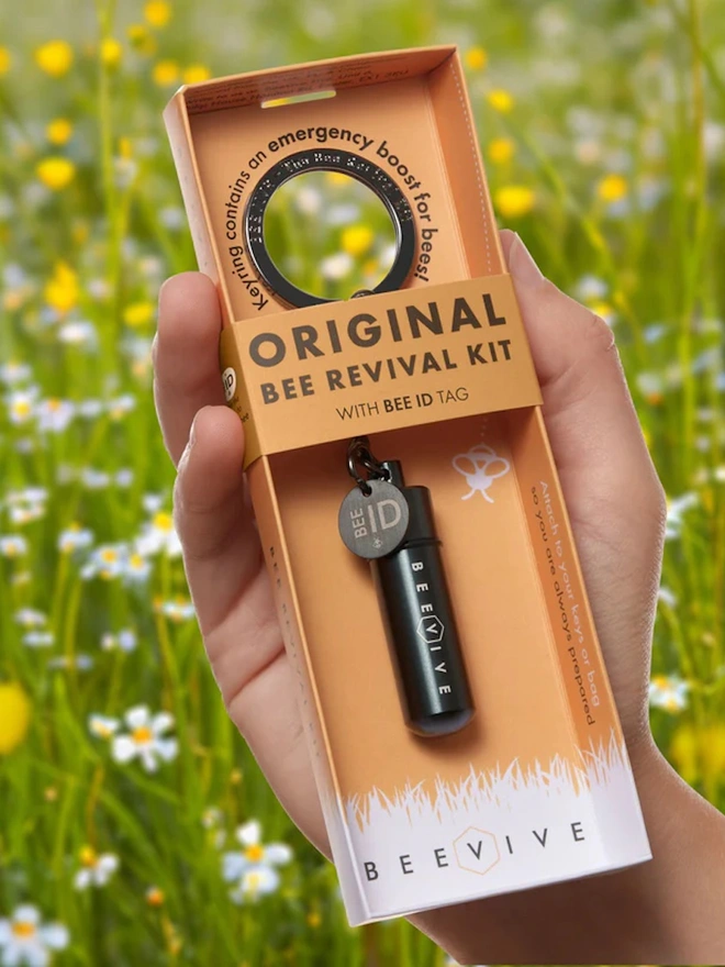 The Original Bee Revival Kit - Anthracite Grey Edition