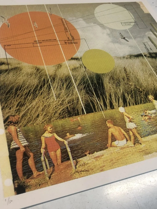 Swimming Amongst The Reeds Screenprint