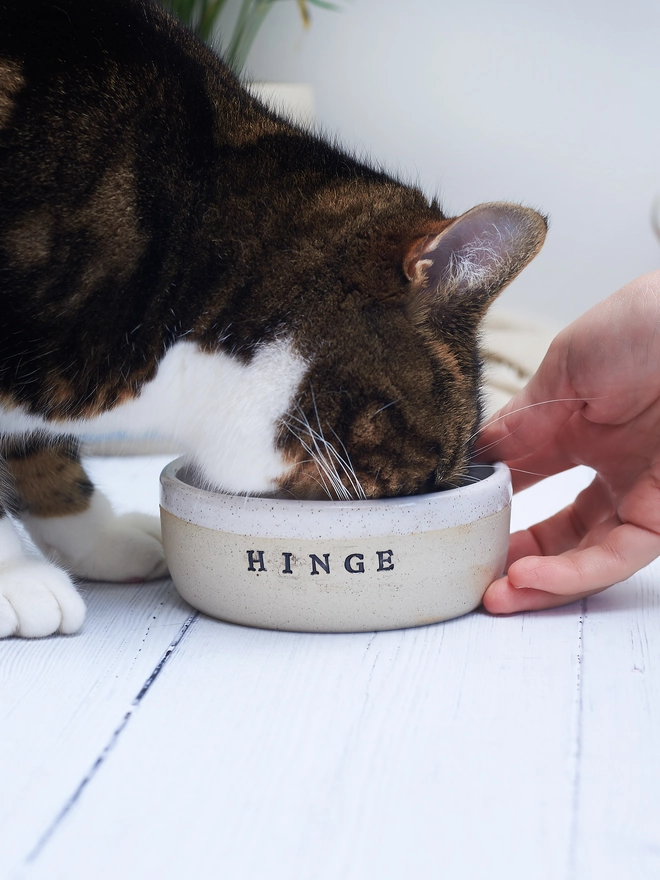 Ceramic Pet Bowl