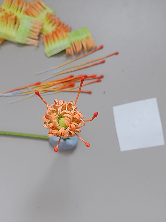 Crepe Paper Pincushion Protea DIY Kit