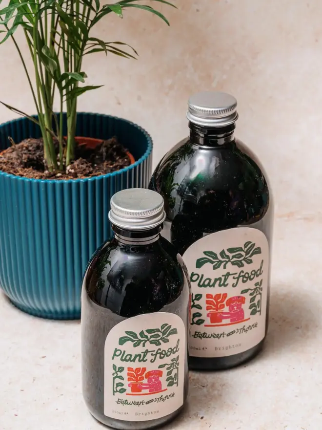 Seaweed Feed, two bottles next to a plant. 