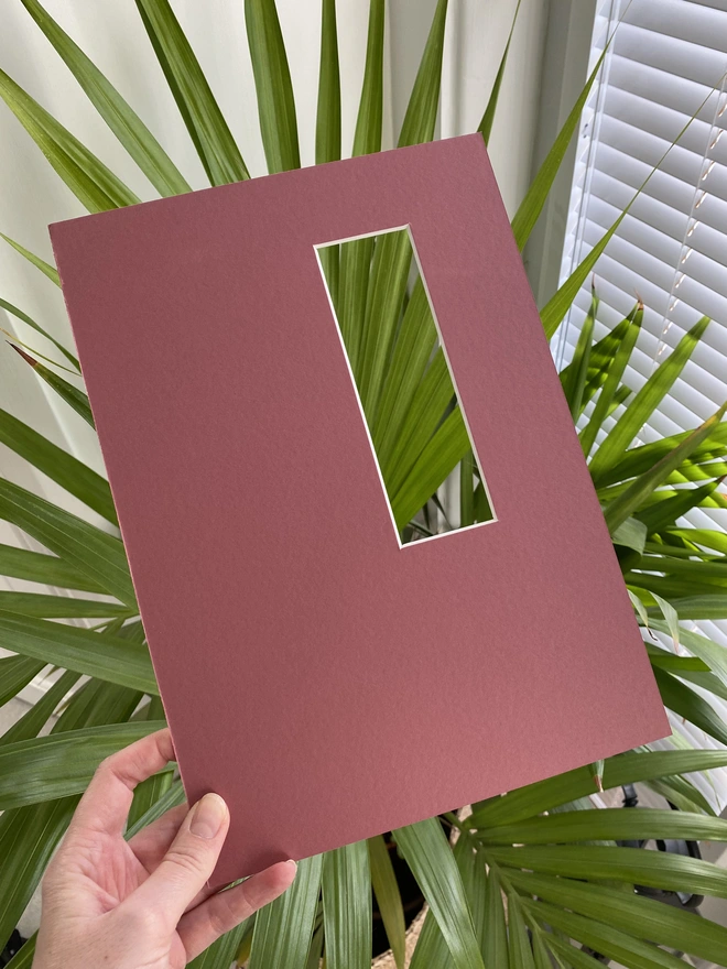 LNN's raspberry photo strip / photo booth mount