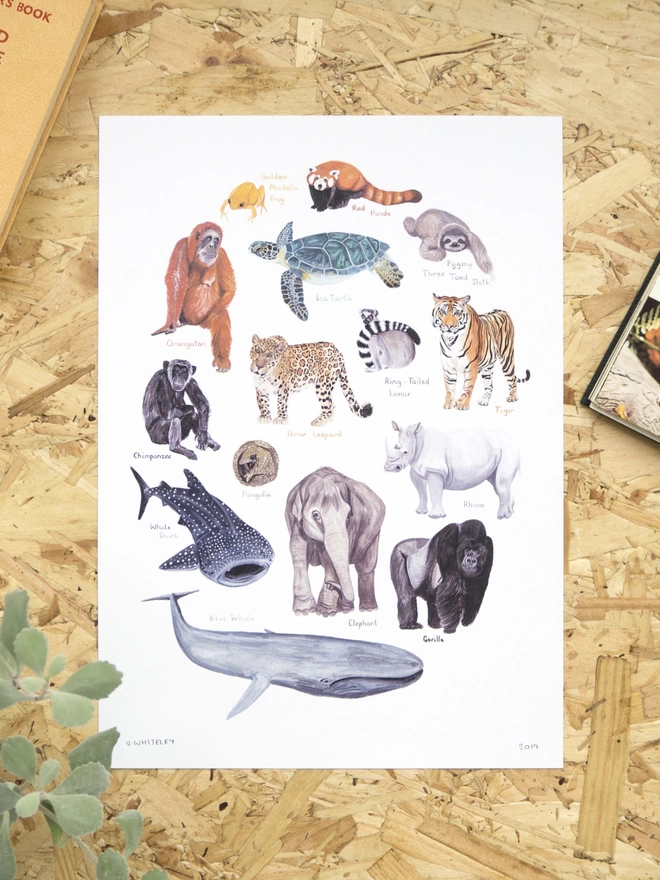 a print with a white background featuring a selection of colourful, endangered animals arranged in an oval shape