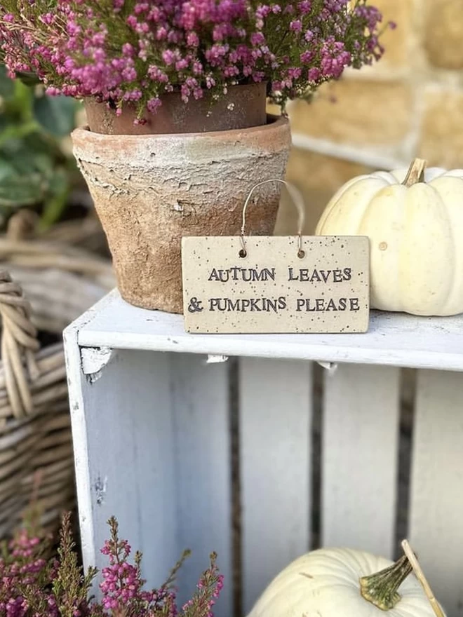 rectangle ceramic sign sat on a crate beside a white pumpkin and plant pot