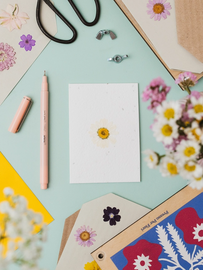 Real Pressed Flower Notecard, White Daisy