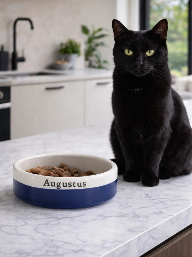 Handmade ceramic cat bowl 