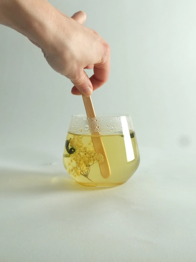 Fleurs-d-hiver-Elderflower-Mint