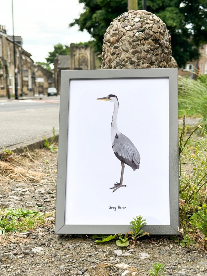 a print of an illustration of a grey heron