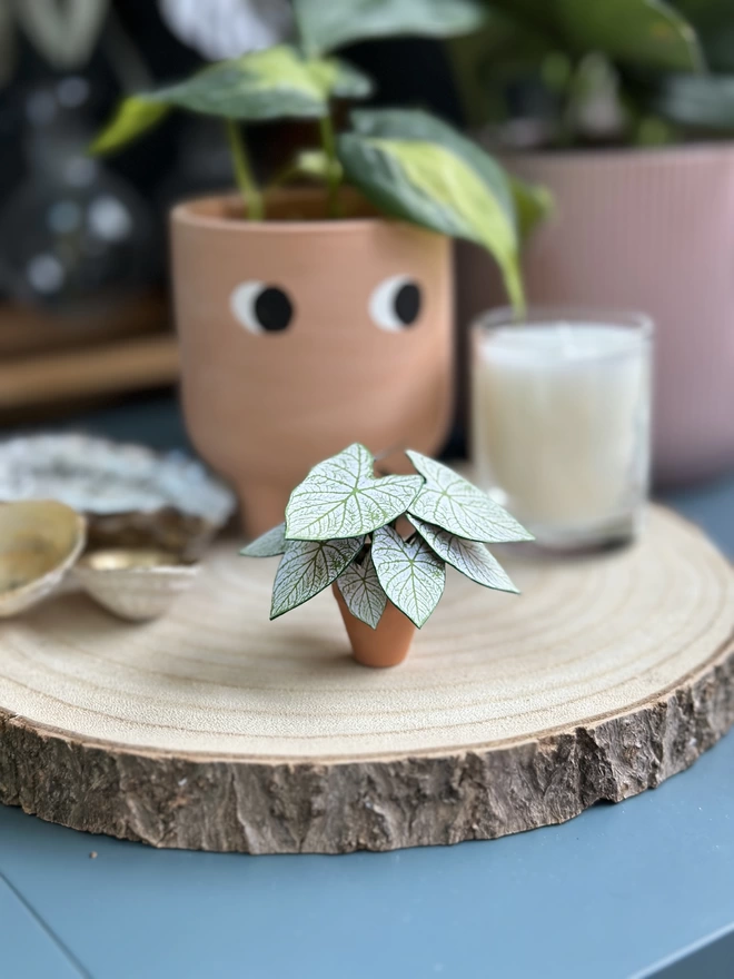 A miniature replica Caladium Angel Wings paper plant ornament in a terracotta pot sat on a wooden log slice on a blue desk with other real plants, ornaments and a candle in the background