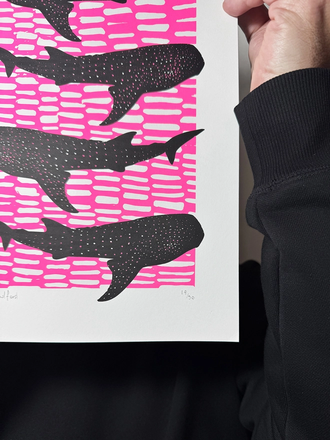 Whale Shark Shiver_A4 Screen Print_Holly and Co_hand numbered limited edition