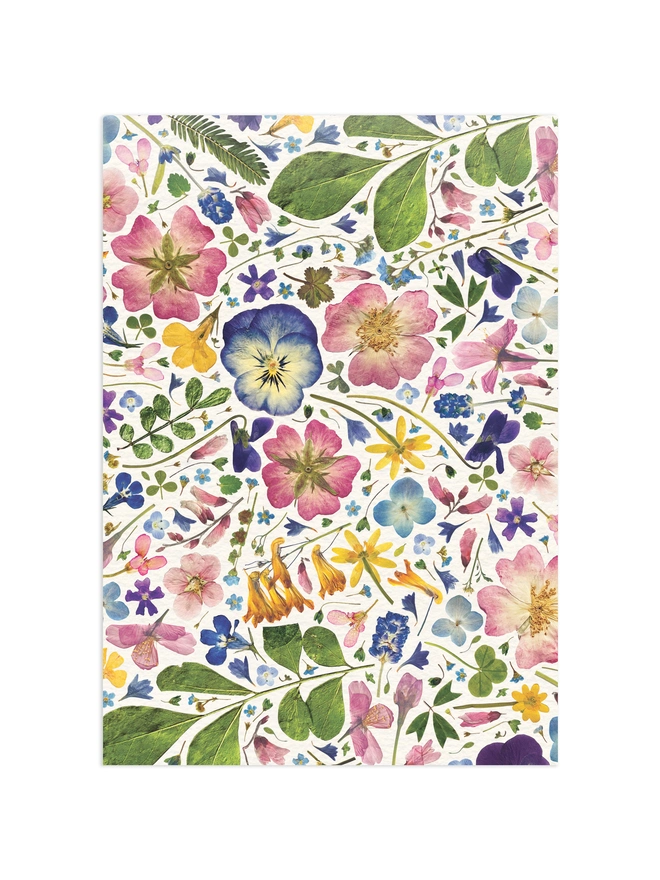 Colourful wrapping paper sheet with a pressed flower design.