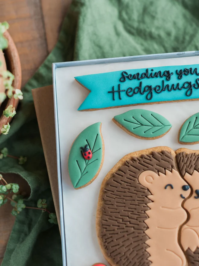 Hedgehugs Biscuit Gift