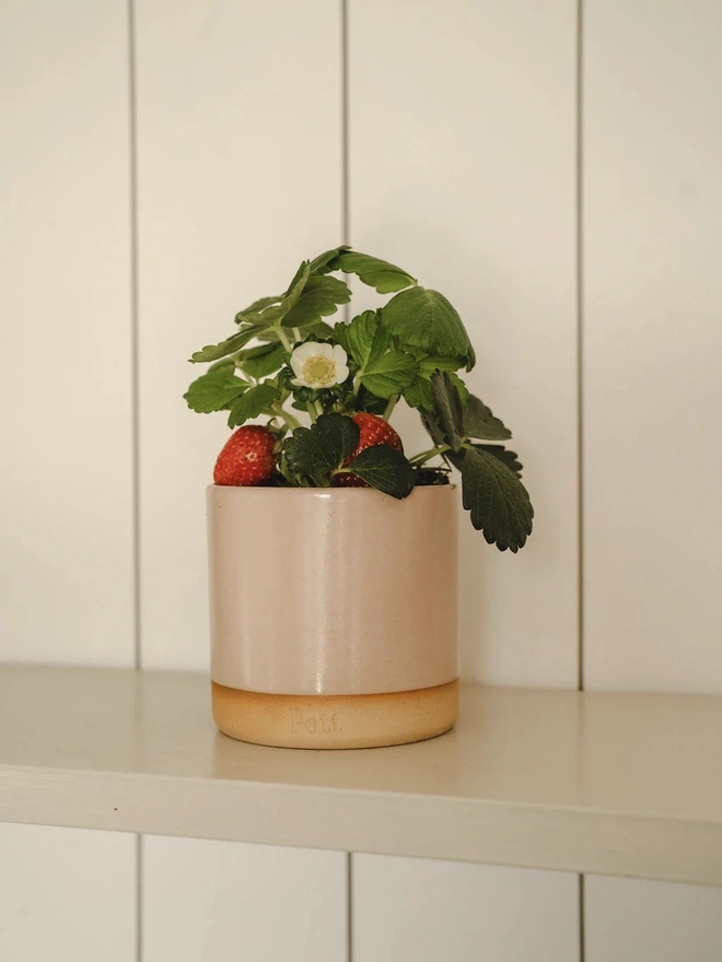 Berry Standard Candle